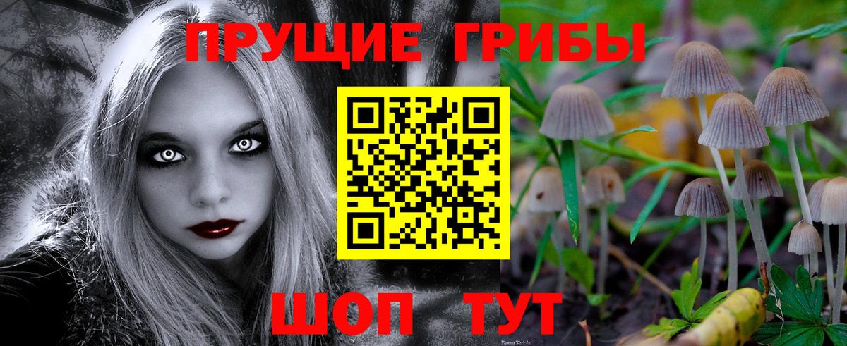 Псилоцибиновые грибы мицелий  Псилоцибиновые грибы Cubensis  Химки  Вход с VPN 